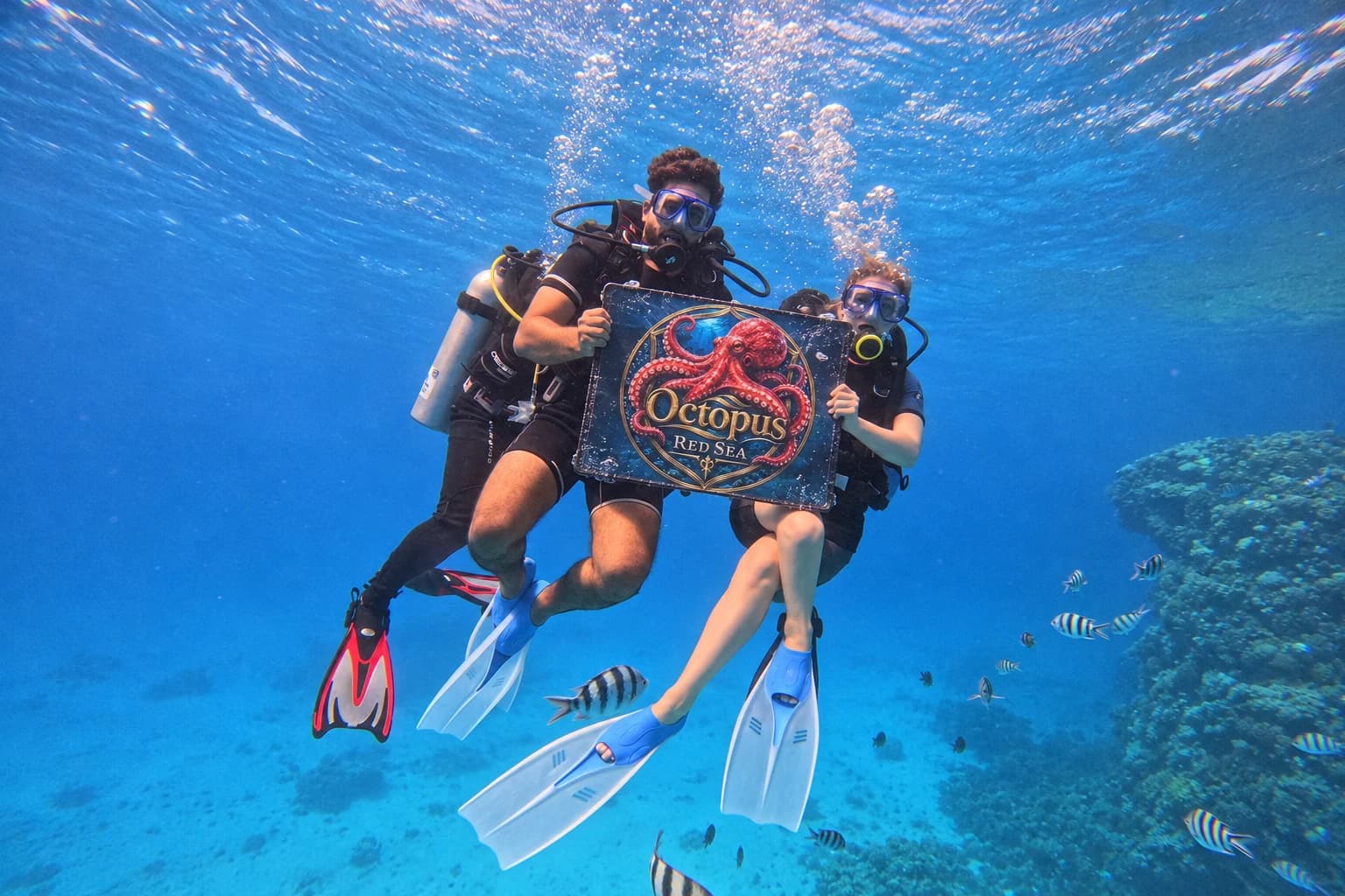 Two divers underwater displaying an Octopus Red Sea branded placard