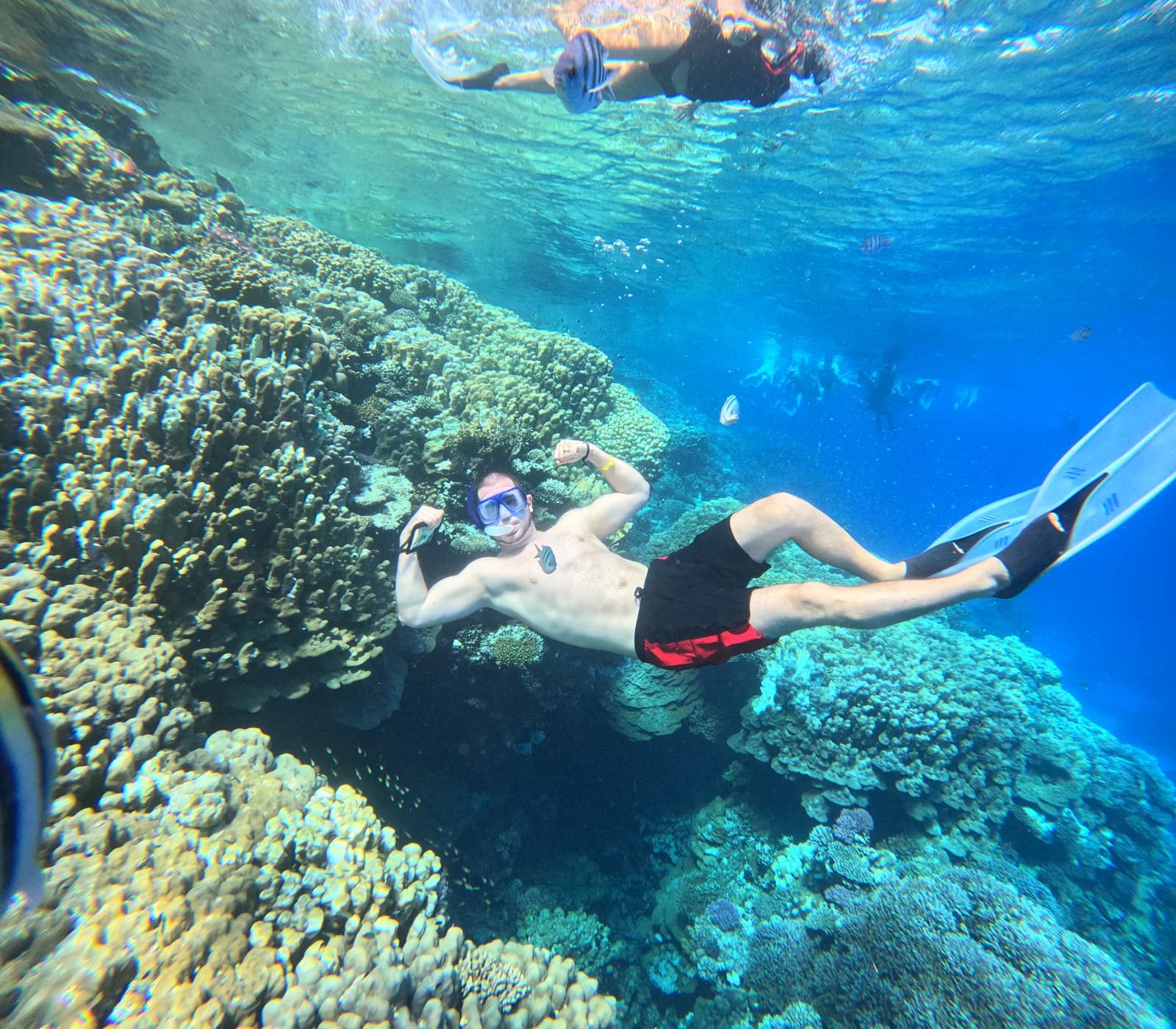 Snorkeling over the coral reef