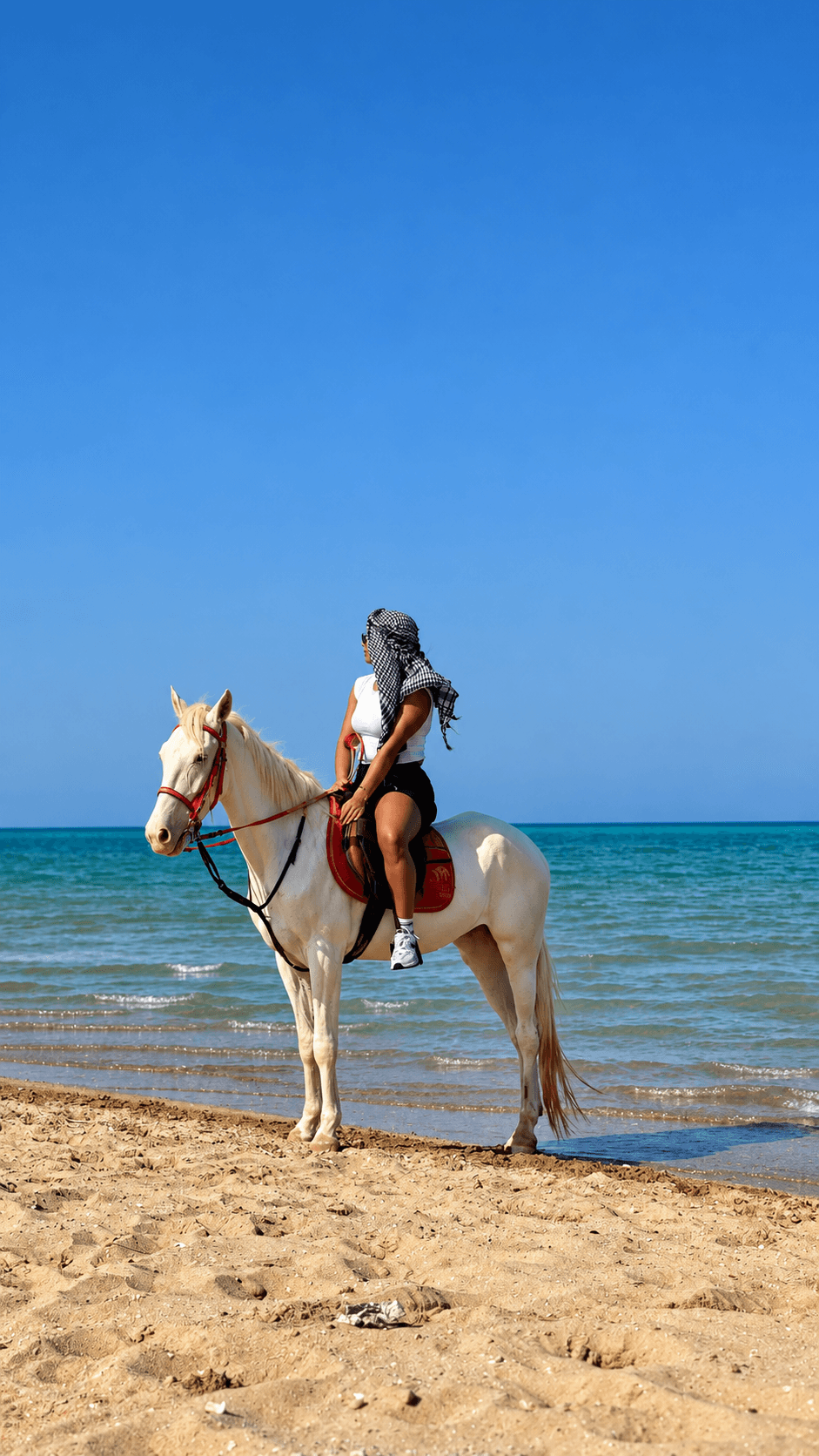 Owner-supplied photograph of horseback riding beside the sea
