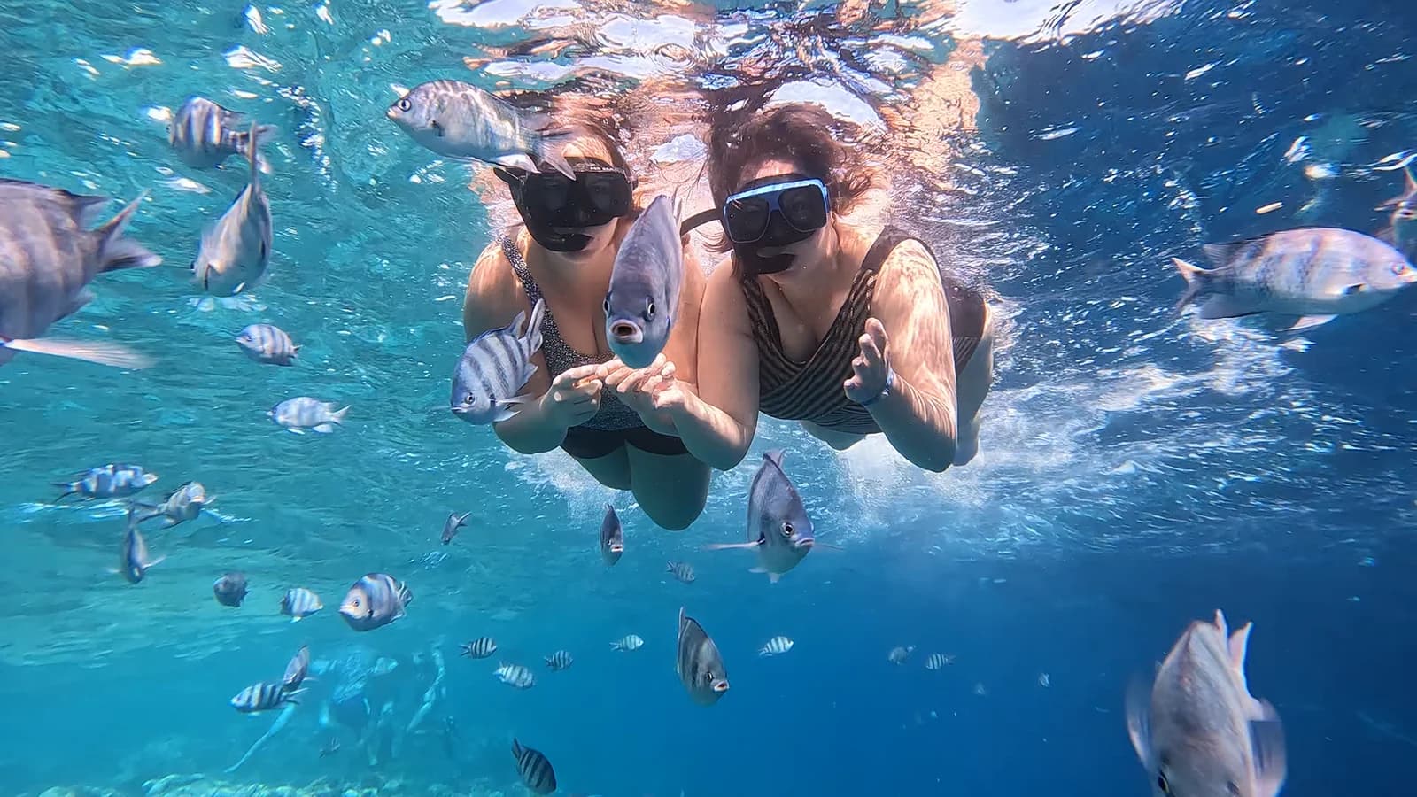 A look below the surface