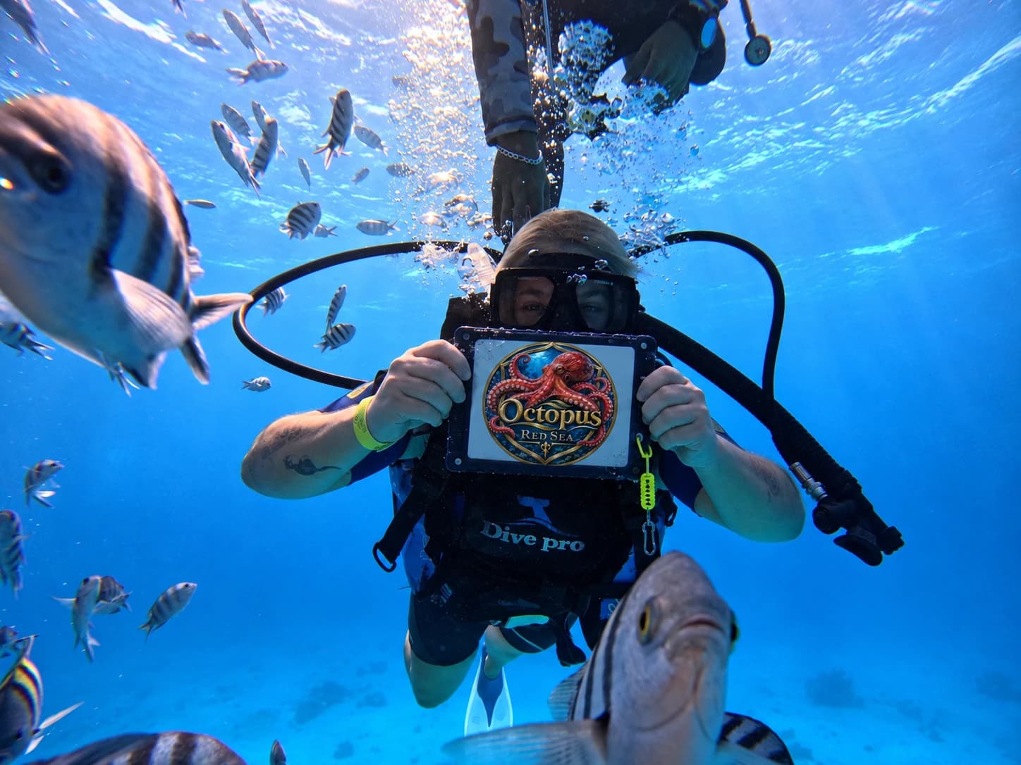 Diver with a branded Octopus Red Sea placard surrounded by fish underwater