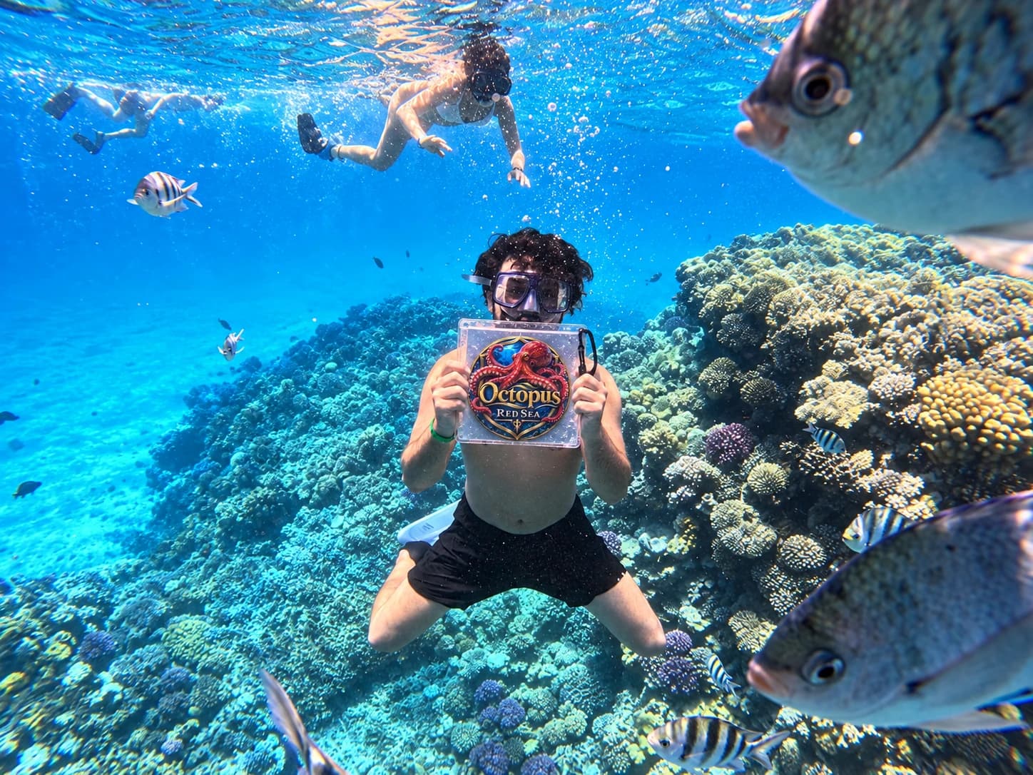 Snorkeler above a coral reef holding a branded Octopus Red Sea sign