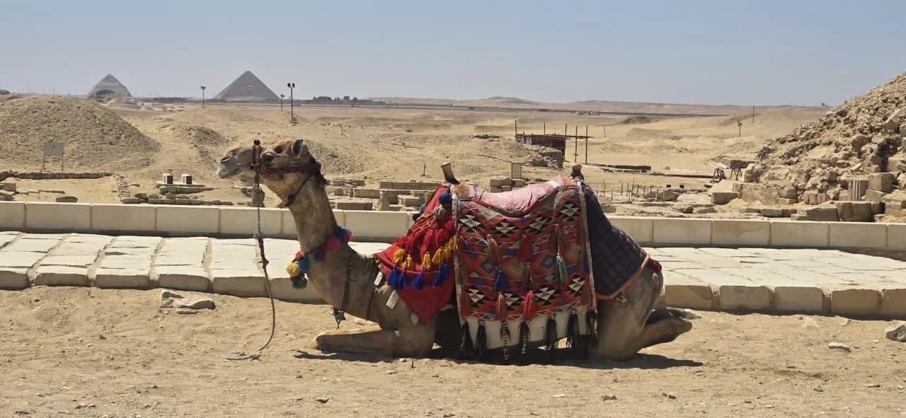 Cairo Day Trip · real travel photograph 6